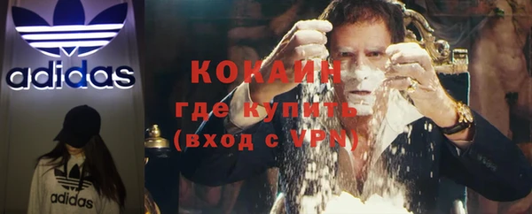 кокс Алексин