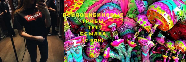 кокс Алексин
