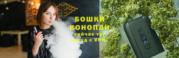 стаф Алексеевка